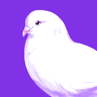 dove animated gif