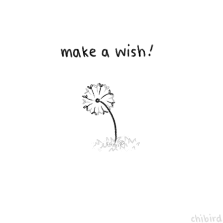 Make a wish GIFs - Obtenez le meilleur gif sur GIFER