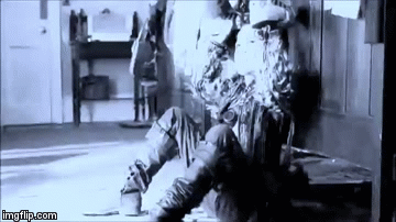 Rollo weeks GIFs - Obtenez le meilleur gif sur GIFER