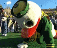 Eastern oregon GIFs - Get the best gif on GIFER