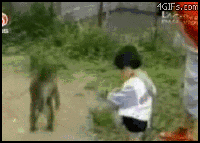 Rustled Crying Gif Rustled GIFs - Get the best gif on GIFER