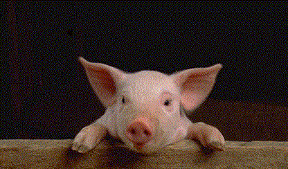 Llinks GIFs - Get the best gif on GIFER Llinks GIFs - Get the best gif on GIFER