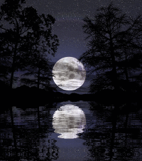 Transparent moon GIF - Find on GIFER