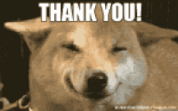 THANK YOU FOR YOU ATTENTION gif! on Make a GIF