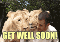 GIF feel better get well soon get well - animated GIF on GIFER