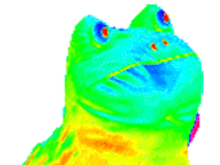 Sad frog GIFs - Get the best gif on GIFER