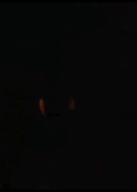 Rambo GIFs - Get the best gif on GIFER