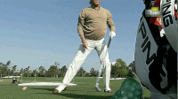 Miguel-jimenez GIFs - Get the best GIF on GIPHY
