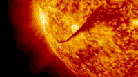 Solar prominence GIF - Conseguir el mejor gif en GIFER