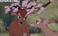 Bambi GIFs - Get the best gif on GIFER