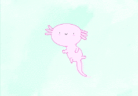 Axolotl GIFs  GIFDBcom