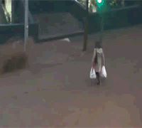 Floods GIFs - Get the best gif on GIFER