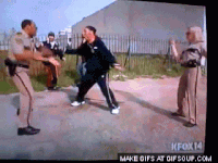 Reno 911 GIFs - Get the best gif on GIFER