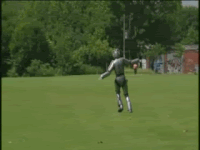 frolicking