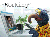 Work life balance GIFs - Get the best gif on GIFER