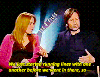 C J Cregg Gifs Get The Best Gif On Gifer