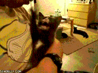 Lip Chat Gifs Get The Best Gif On Gifer