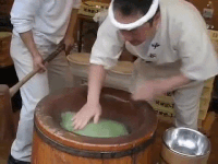 Mochi Gifs Get The Best Gif On Gifer