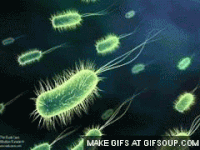 Bacteria GIFs Get The Best Gif On GIFER