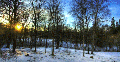 Season GIFs - Get the best gif on GIFER
