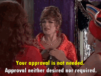 Image result for thanks for approval gif funny