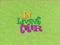 Kim wayans GIFs - Get the best gif on GIFER