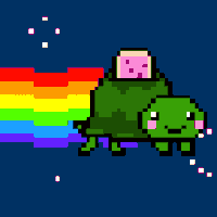 Turtle GIFs - Get the best gif on GIFER