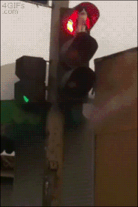 Stop Signal Gifs Get The Best Gif On Gifer