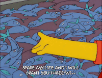 Dead Fish Gifs Get The Best Gif On Gifer