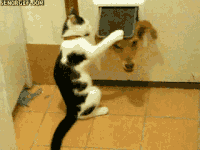 Outside GIFs - Get the best gif on GIFER