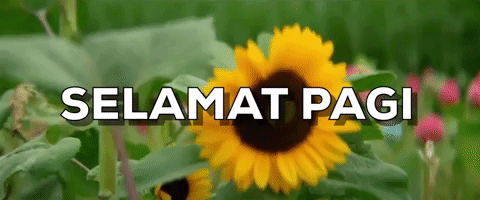 Selamat pagi GIF - Conseguir o melhor gif em GIFER