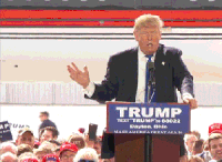 Current GIFs - Get the best gif on GIFER