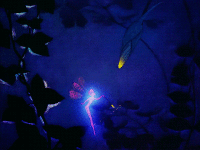 Fairy GIFs - Get the best gif on GIFER