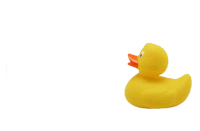 Rubber GIFs - Get the best gif on GIFER