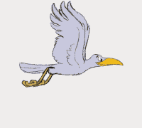Vogel Animation Vogel GIFs - Get the best gif on GIFER