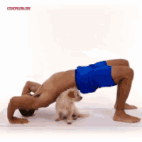 Yoga Pose Gifs Get The Best Gif On Gifer