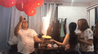 Inert GIFs - Get the best gif on GIFER