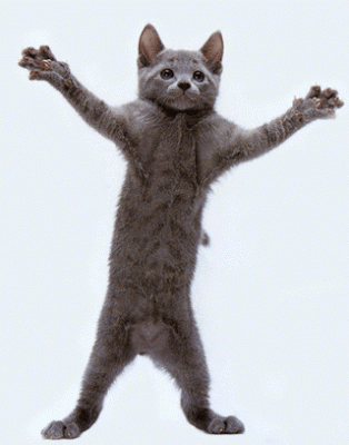Downloading гифки, анимированные GIF изображения downloading - скачать ...