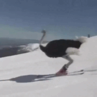 Snowy mountain GIFs - Get the best gif on GIFER