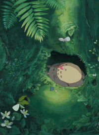 Totoro GIFs - Get the best gif on GIFER