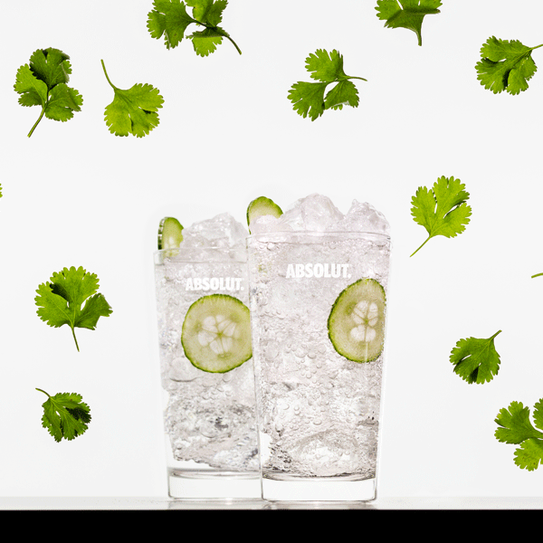 Absolut cilantro GIF Conseguir el mejor gif en GIFER