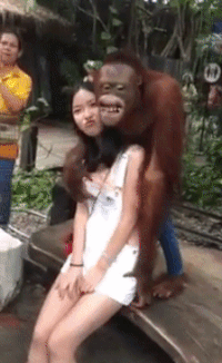 lucky monkey   一天三笑 + 解悶處