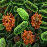 Bacteria GIFs - Get the best gif on GIFER