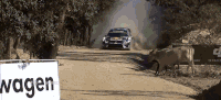 Rally GIFs - Get the best gif on GIFER