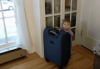 Suitcase GIFs - Get the best gif on GIFER
