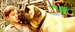 Sandlot GIFs - Get the best gif on GIFER