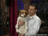 Husband GIFs - Get the best gif on GIFER