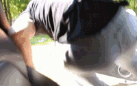 Rshittyreactiongifs GIFs - Get the best gif on GIFER
