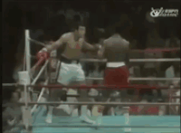 Float Like A Butterfly Sting Like A Bee Gifs Get The Best Gif On Gifer
