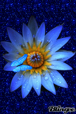 Blue Lotus Flower Drawing Shefalitayal